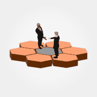 Strategic Partner Leadership Model